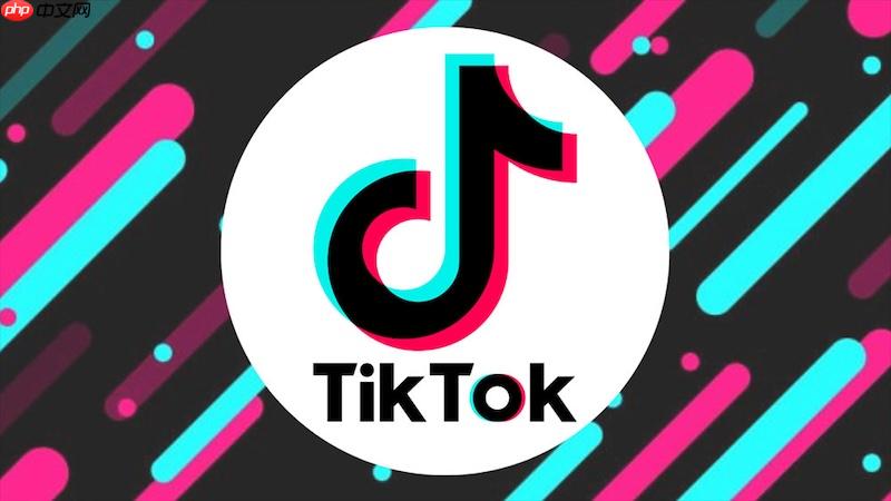 2025年TikTok网页版（海外抖音国际版）最新访问指南与使用全攻略