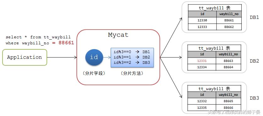 海运单（Waybill）全面解析，含义、特点与实际应用一文读懂